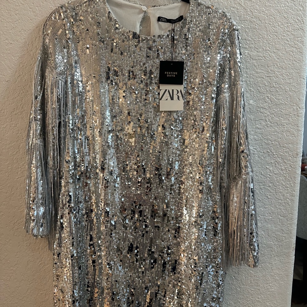 Zara Silver Sequin Fringe Midi Dress